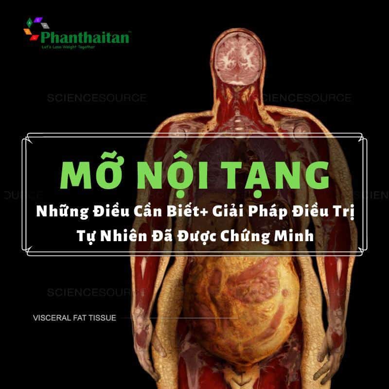 Mỡ nội tạng