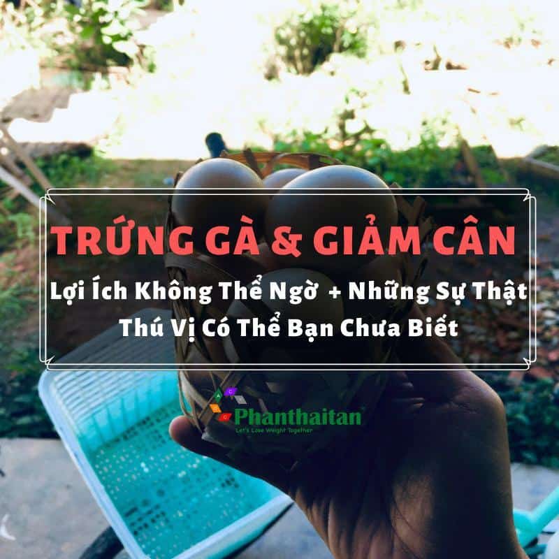 Trứng gà giảm cân