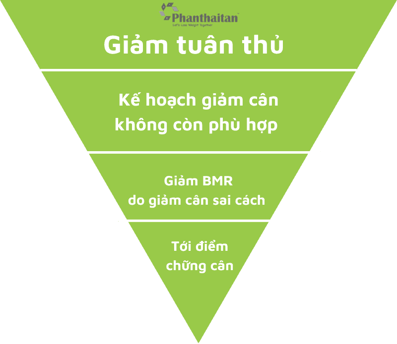 4 nguyên nhân chững cân sắp xếp theo thứ tự từ đơn giản đến phức tạp về cách giải quyết.