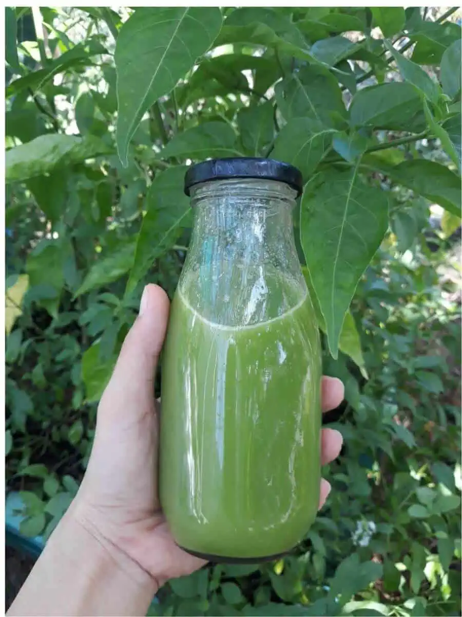 Nước ép cần tây táo