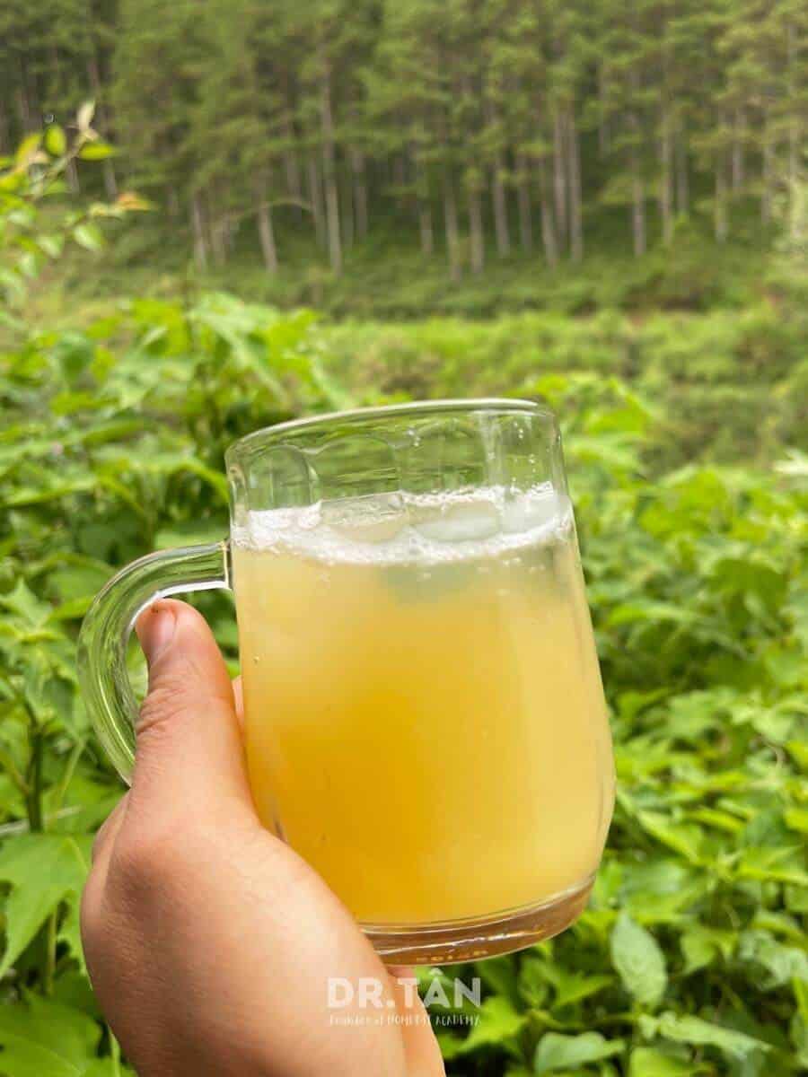 drtanhomefit_recipes-42