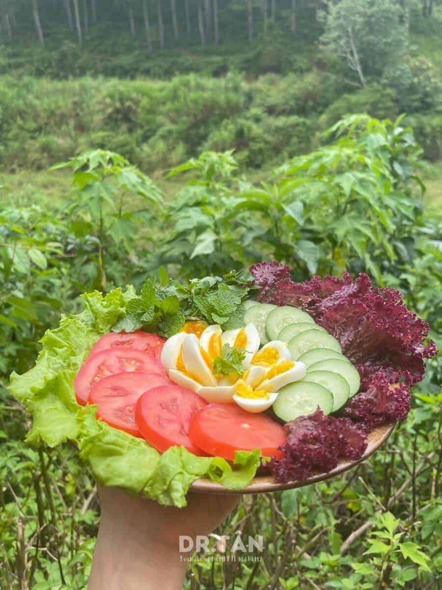 drtanhomefit_recipes-43