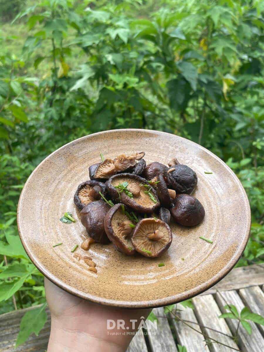 drtanhomefit_recipes-44