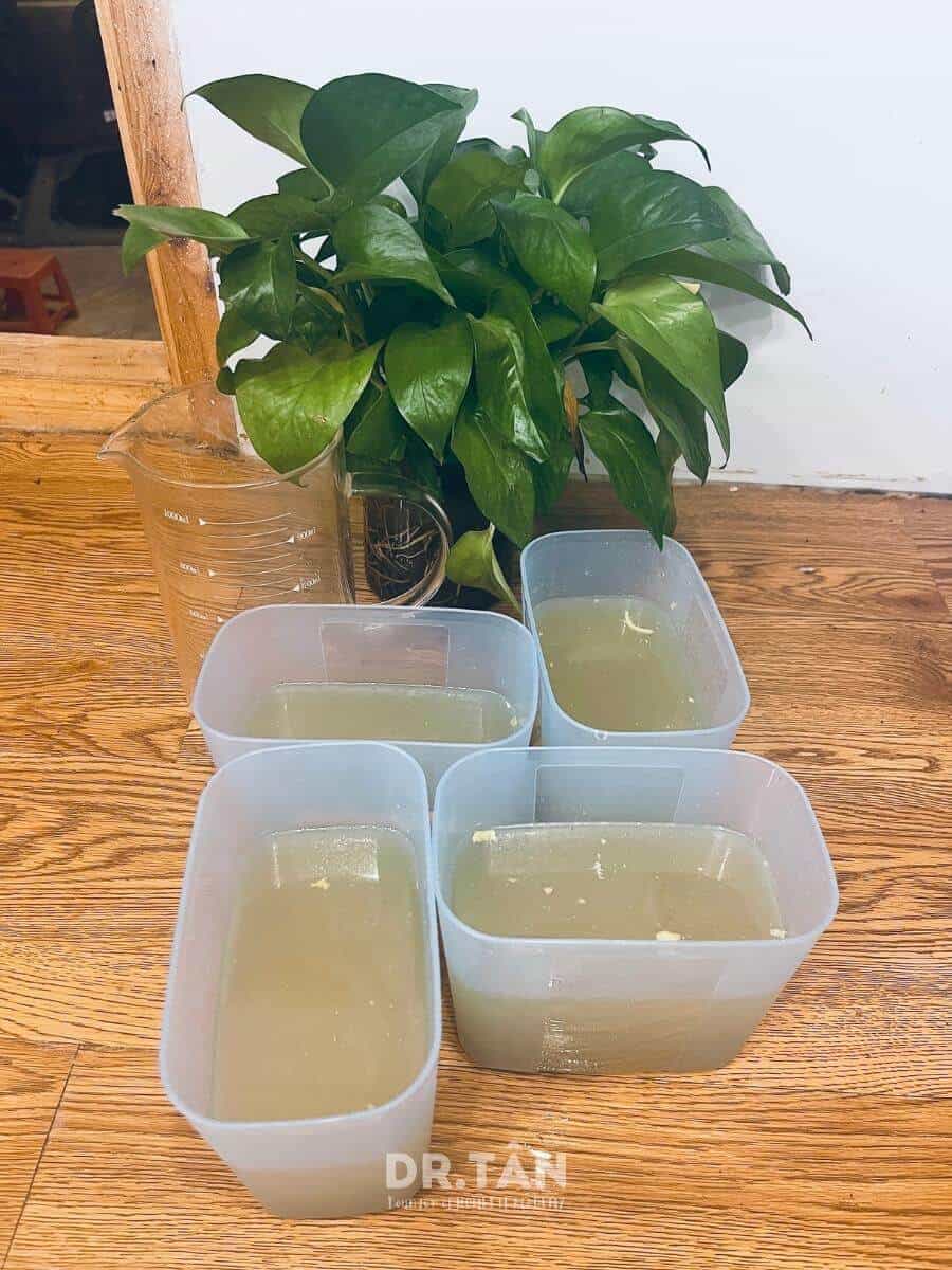 drtanhomefit_recipes-90