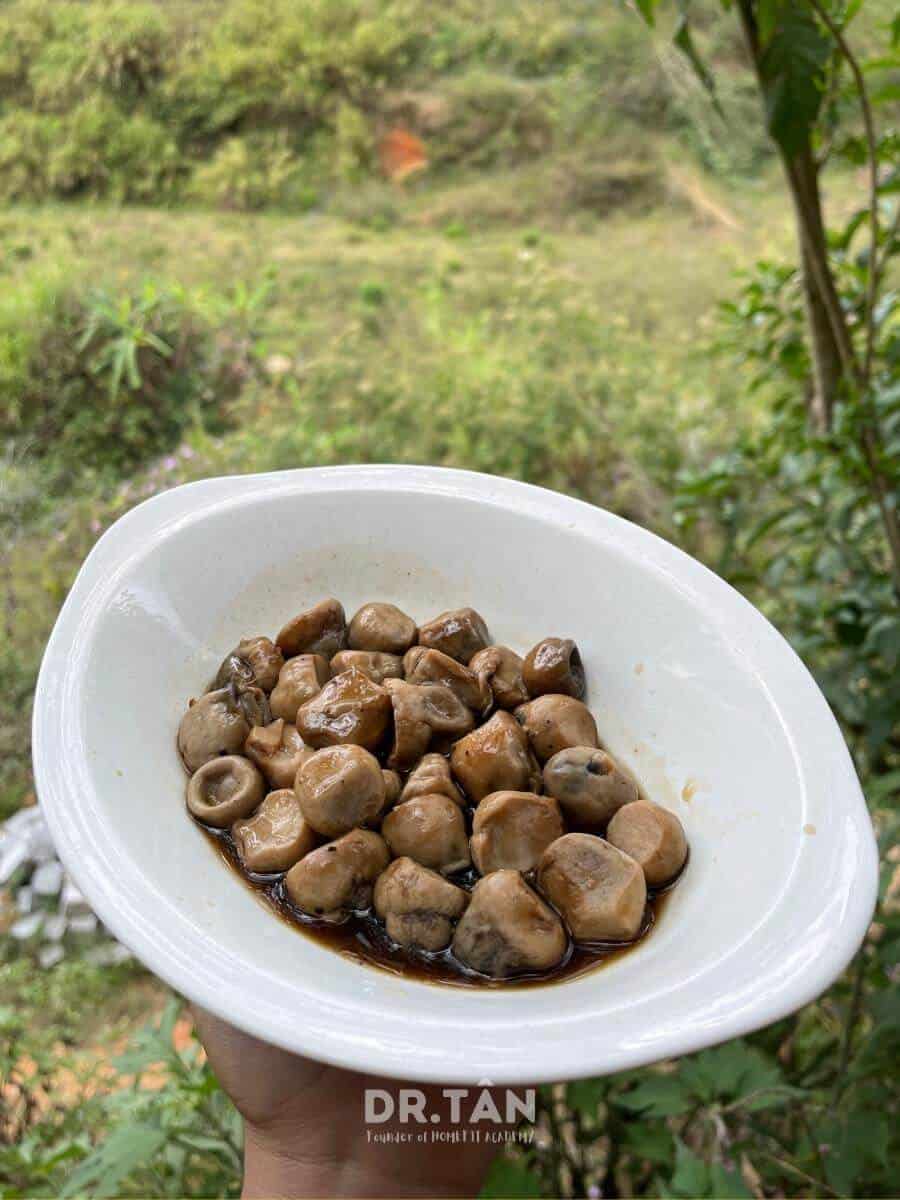 drtanhomefit_recipes-91